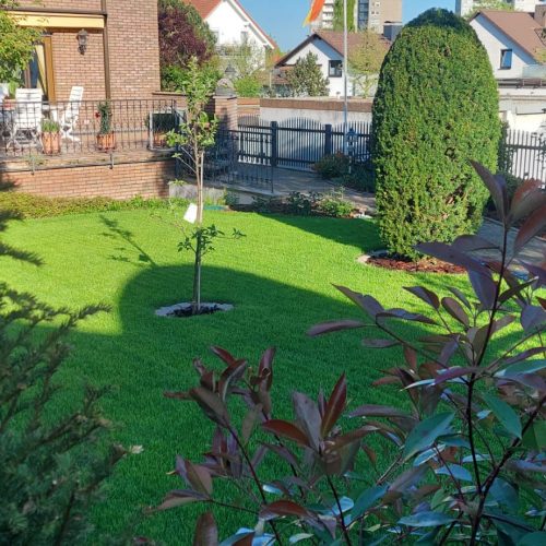 Rollrasenverlegung durch Sidar Gartenservice GbR